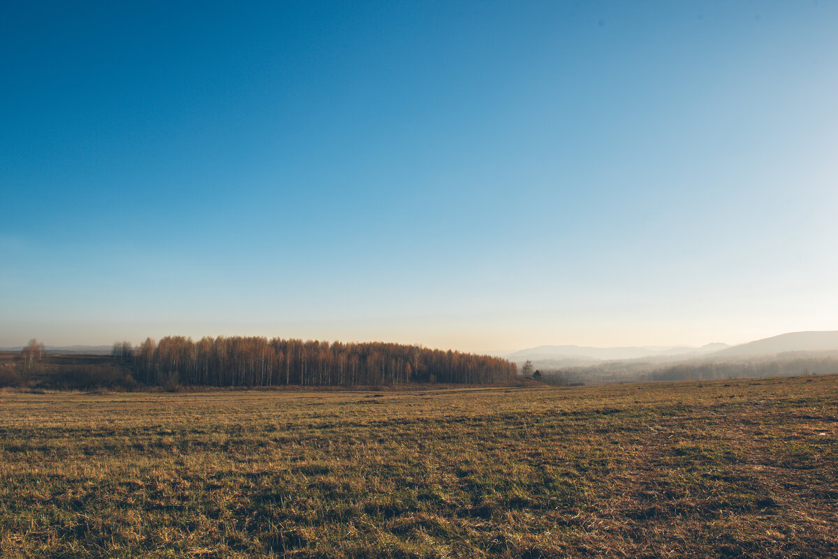 Вечернее - Михаил Соколов