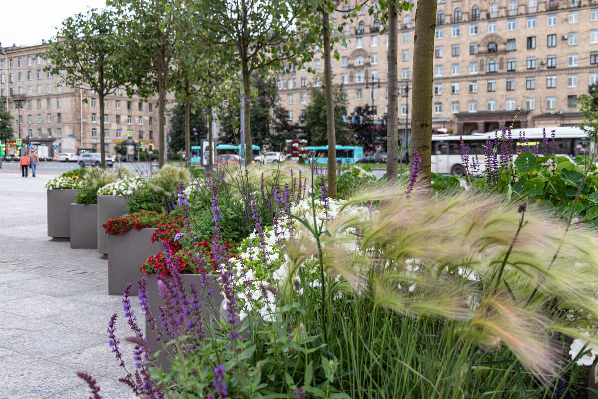 на Московской площади - navalon M