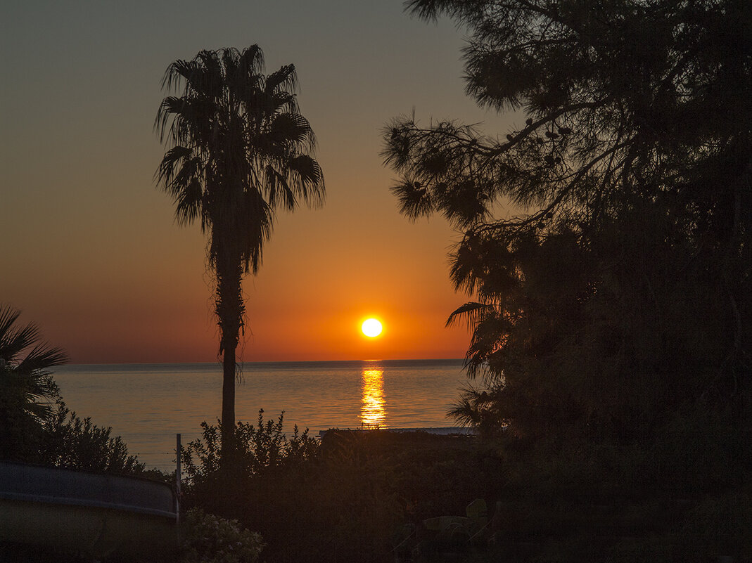 Рассвет в "Парамарибо" - Владимир Шишкин