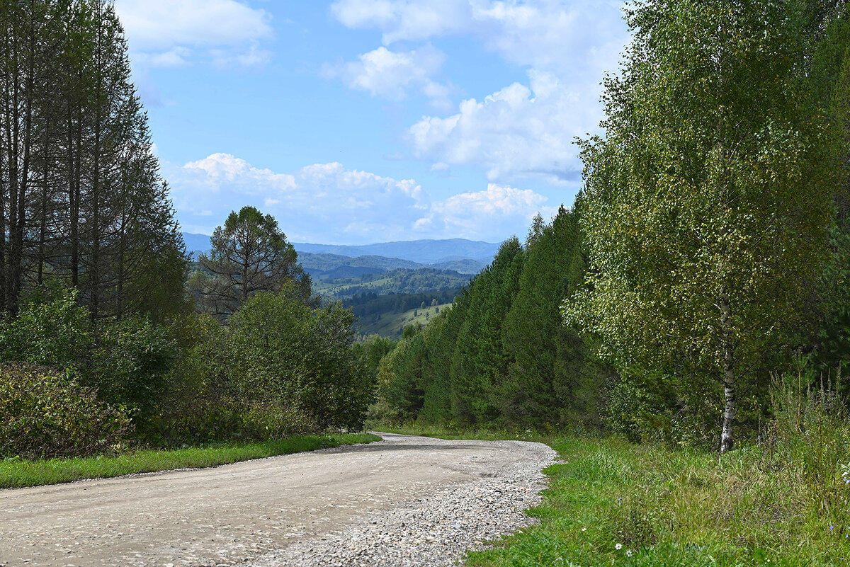 Дорога на перевал - Валерий Медведев Дорога на перевал - Валерий Медведев