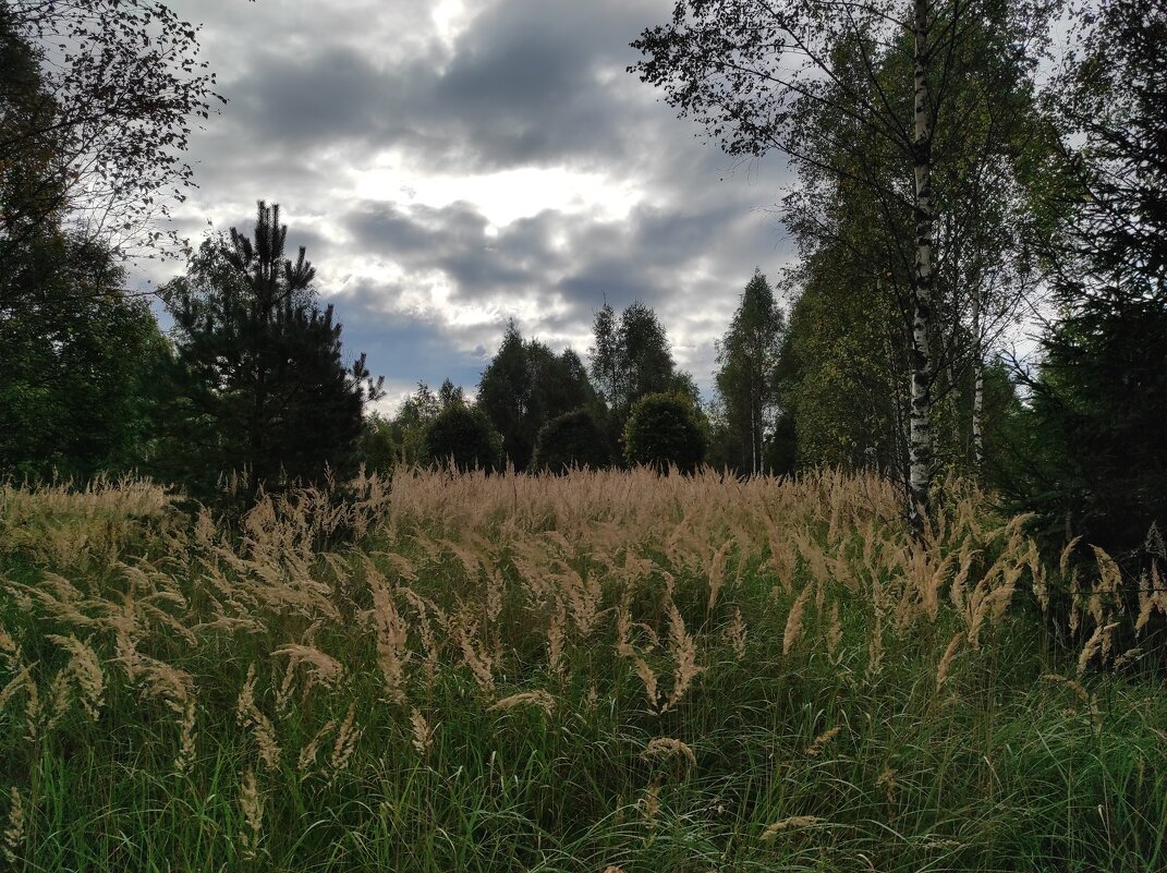 Пасмурный день - Игорь Ч. Пасмурный день - Игорь Ч.