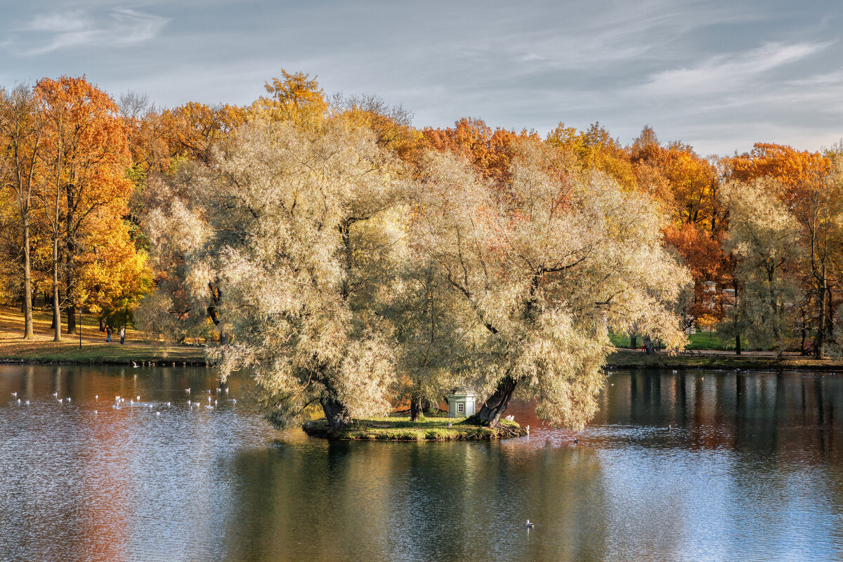 Гатчина. Осень - Владимир Колесников