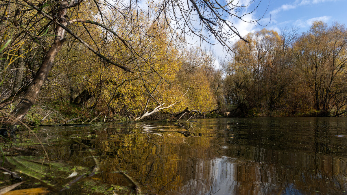 У Оки - sorovey Sol