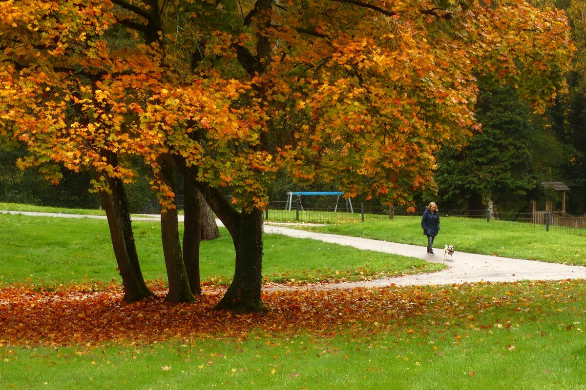 Прогулка в осень - Юрий. Шмаков Прогулка в осень - Юрий. Шмаков