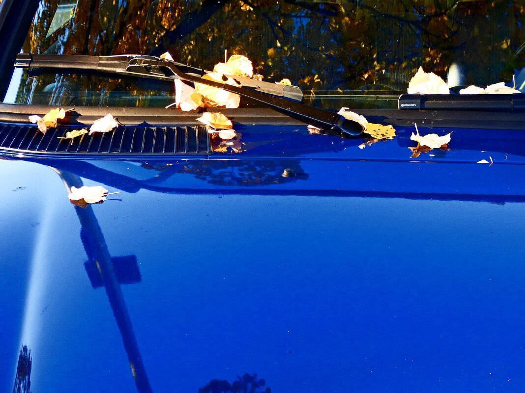 Осень 25 - Алексей Кузнецов