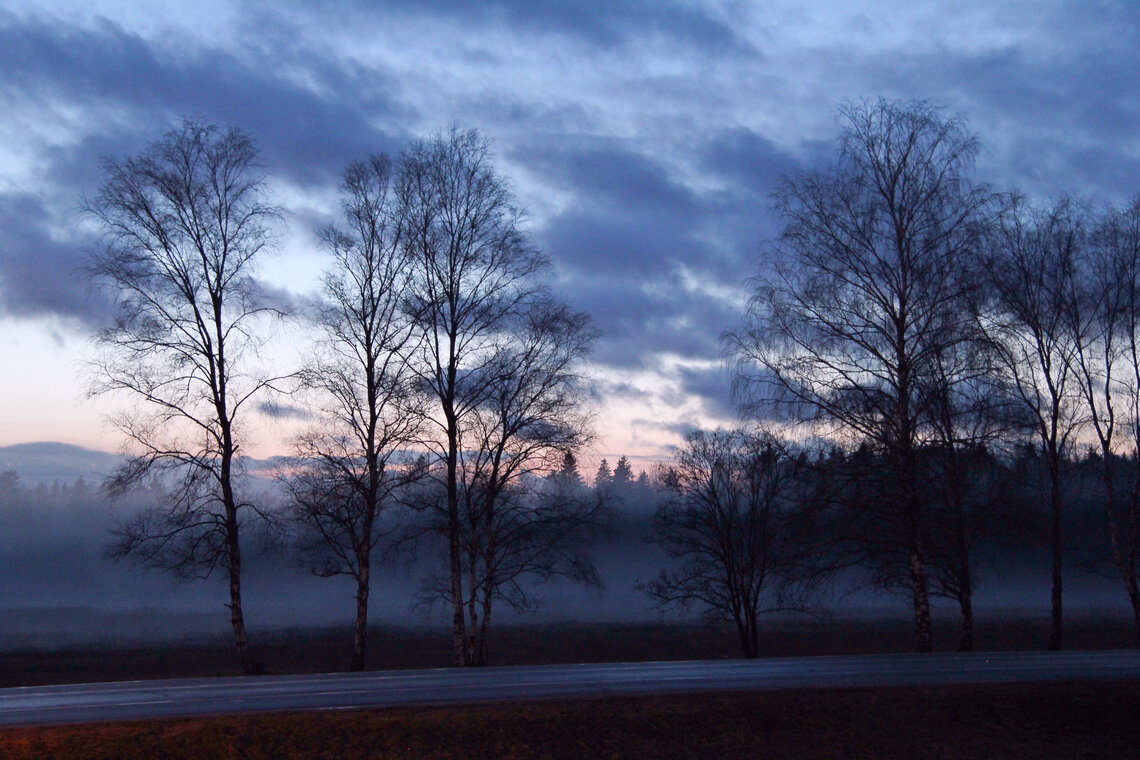 Ночь идет. - Сергей Рожков