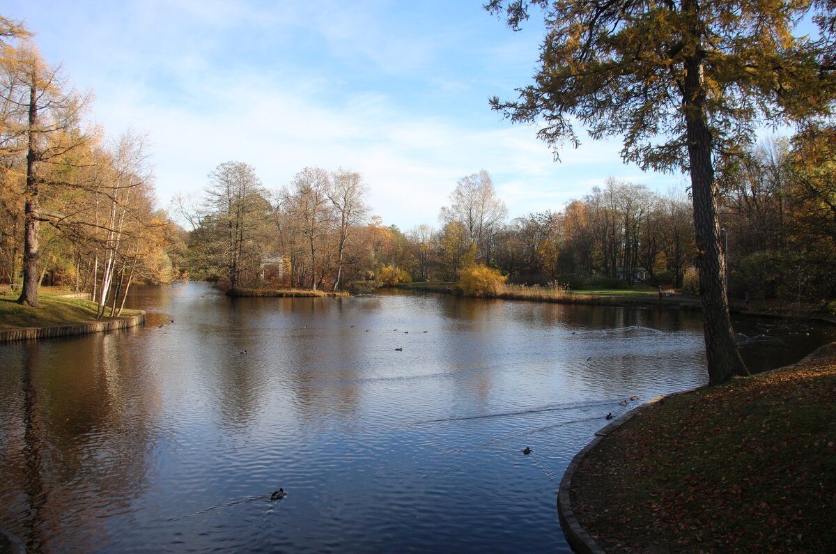 Осень на Елагином - Наталья Герасимова