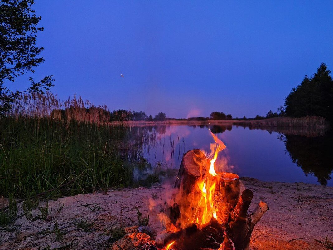 * - Татьяна Венцель