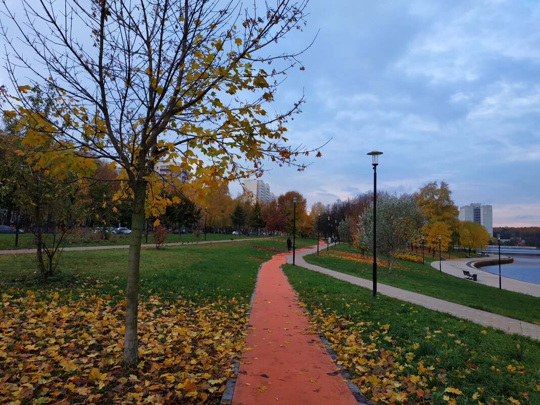 Красная дорожка - Андрей Лукьянов