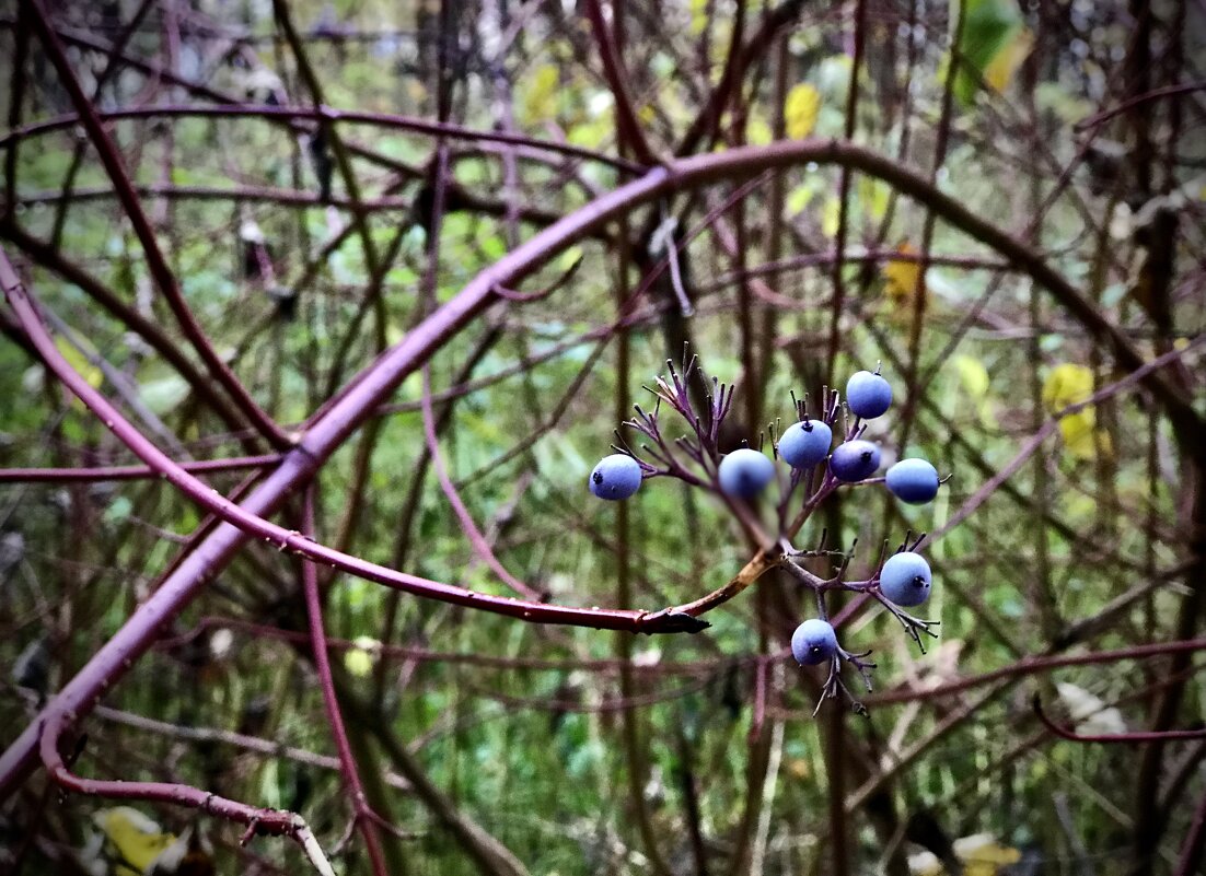 В природе нет прямых линий). - Любовь 
