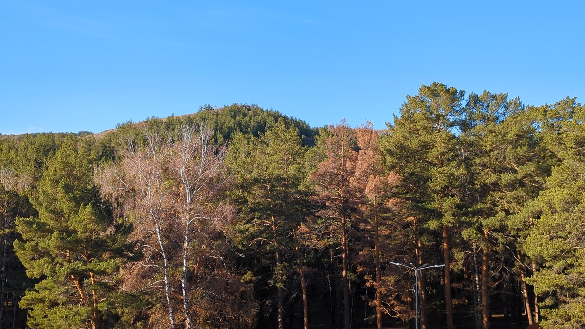 Осень - Георгиевич 