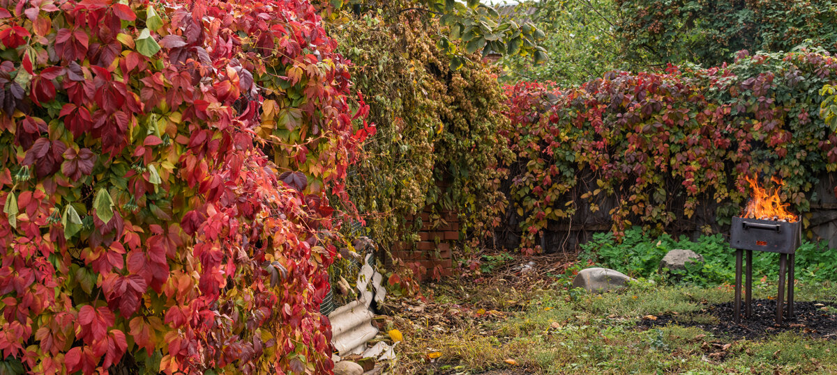 На заднем дворе - Игорь Сикорский