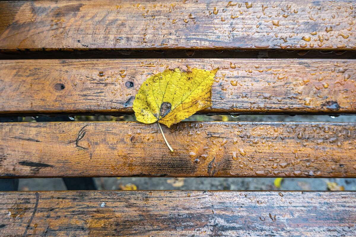 Прилипший - Валерий Иванович