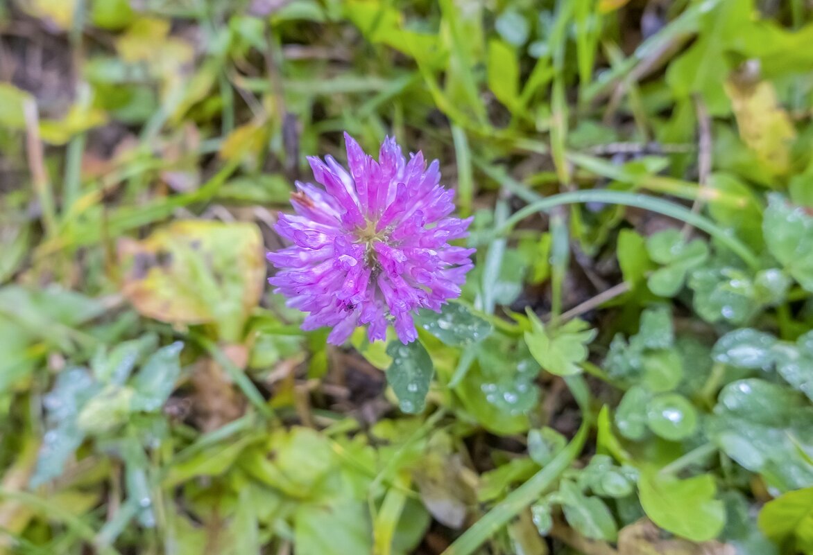 Октябрьский - Валерий Иванович