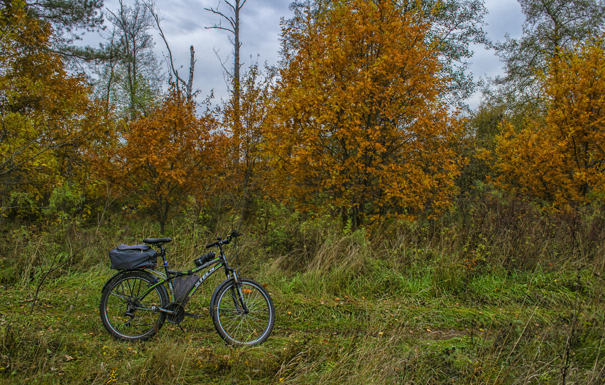 Октябрьское - Сергей Цветков