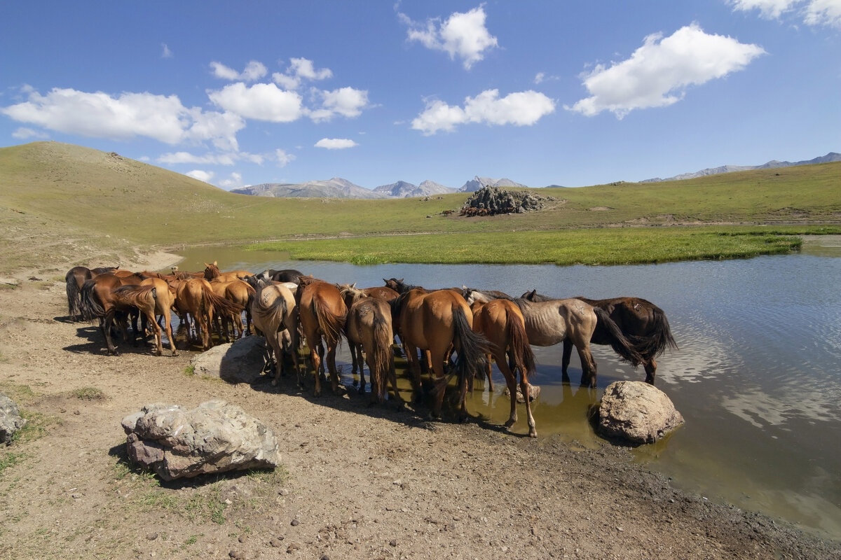 " А потому,что без воды..." - LudMila 