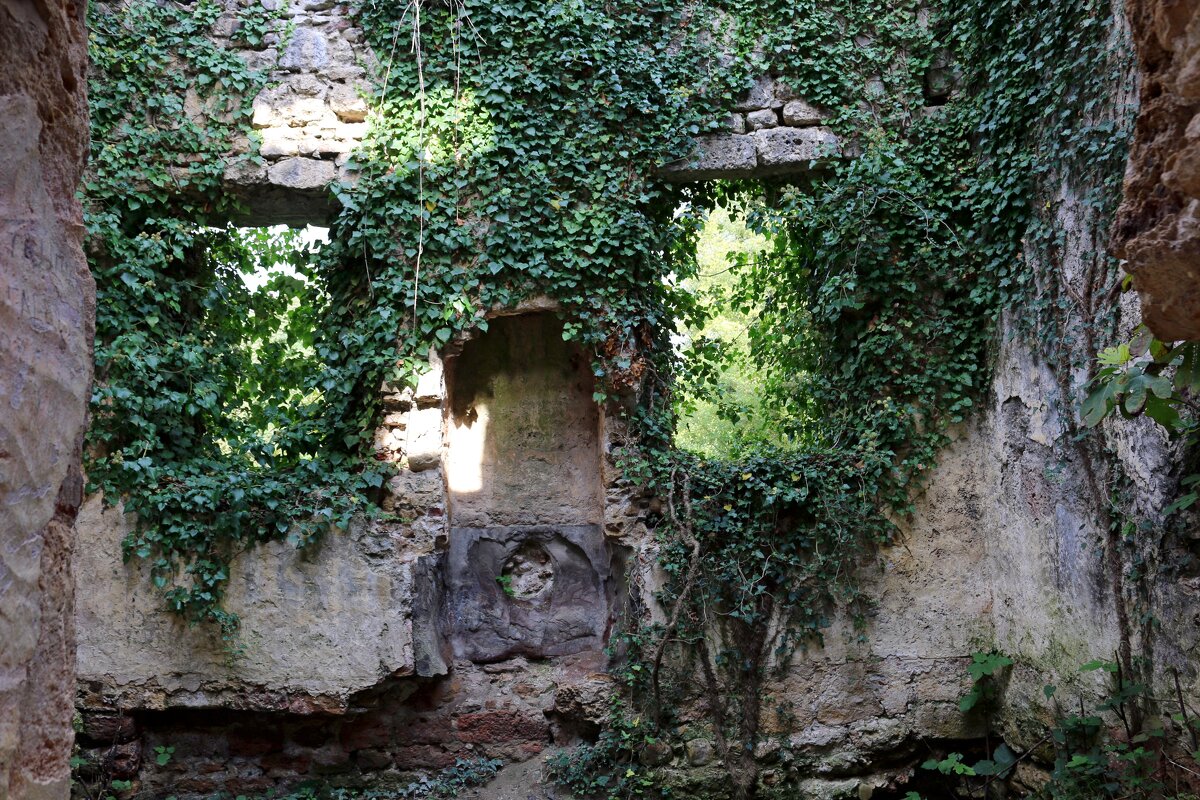 Развалины дворца Чачба-Шервашидзе - Ольга Развалины дворца Чачба-Шервашидзе - Ольга