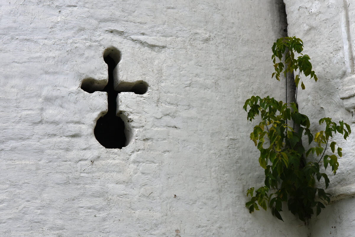 Владимирская область. Город Александров. Александровская Слобода. - Наташа *****