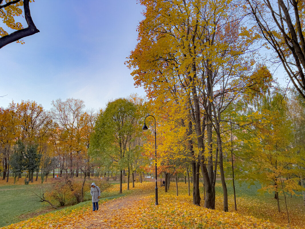 парк Новознаменка - Алексей Чуркин