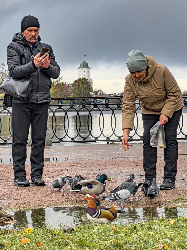 Кормление уток - Алексей Чуркин Кормление уток - Алексей Чуркин