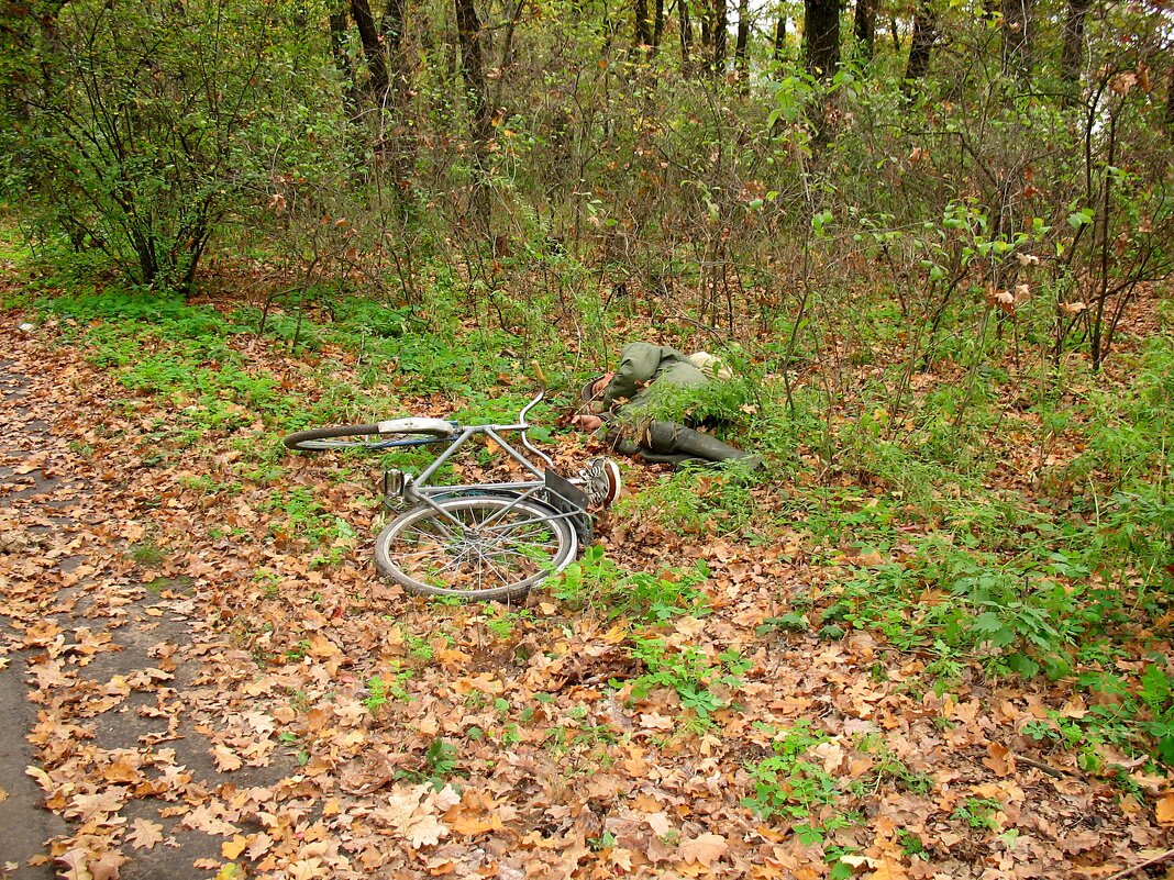 Спят усталые игрушки - Андрей Л. В.