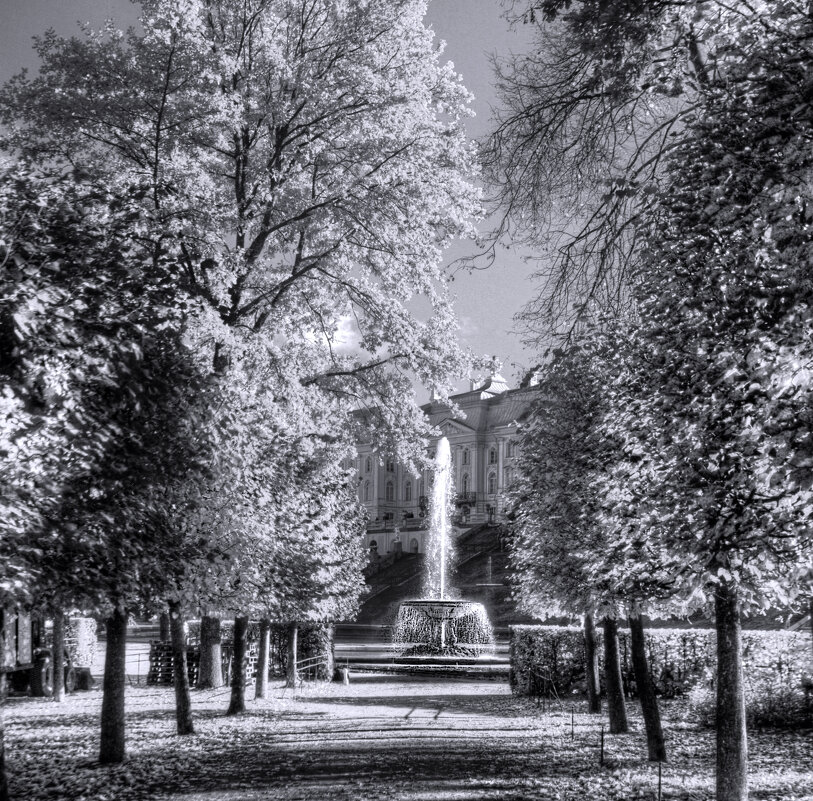 *** - Сергей Григорьев