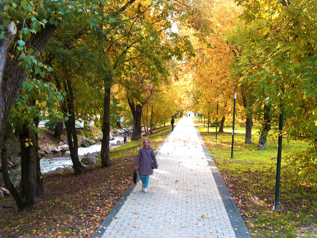 Аллея в парке Гагарина - Валентин Семчишин