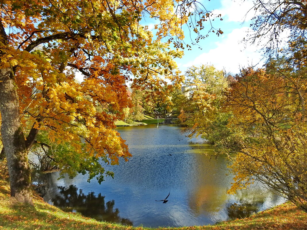 осень - ИННА ПОРОХОВА