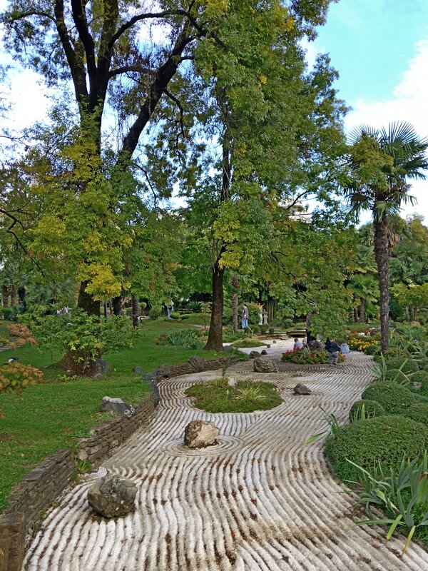 Японский сквер - Tata Wolf