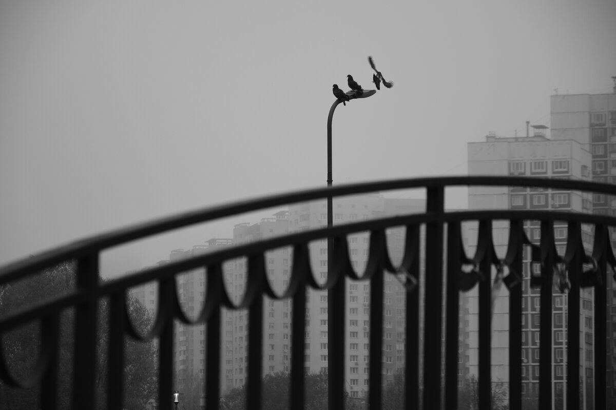 Парк Дружбы - Мария Яковлева