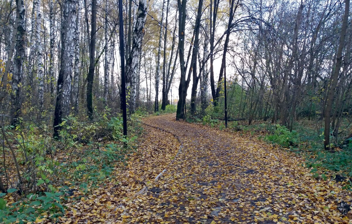 Октябрь - Galina Solovova