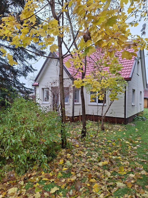 October - silvestras gaiziunas gaiziunas