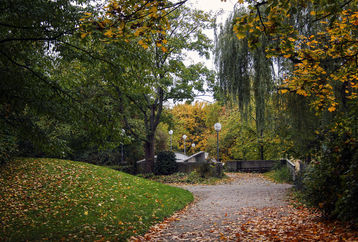 **** - Андроник Александр 