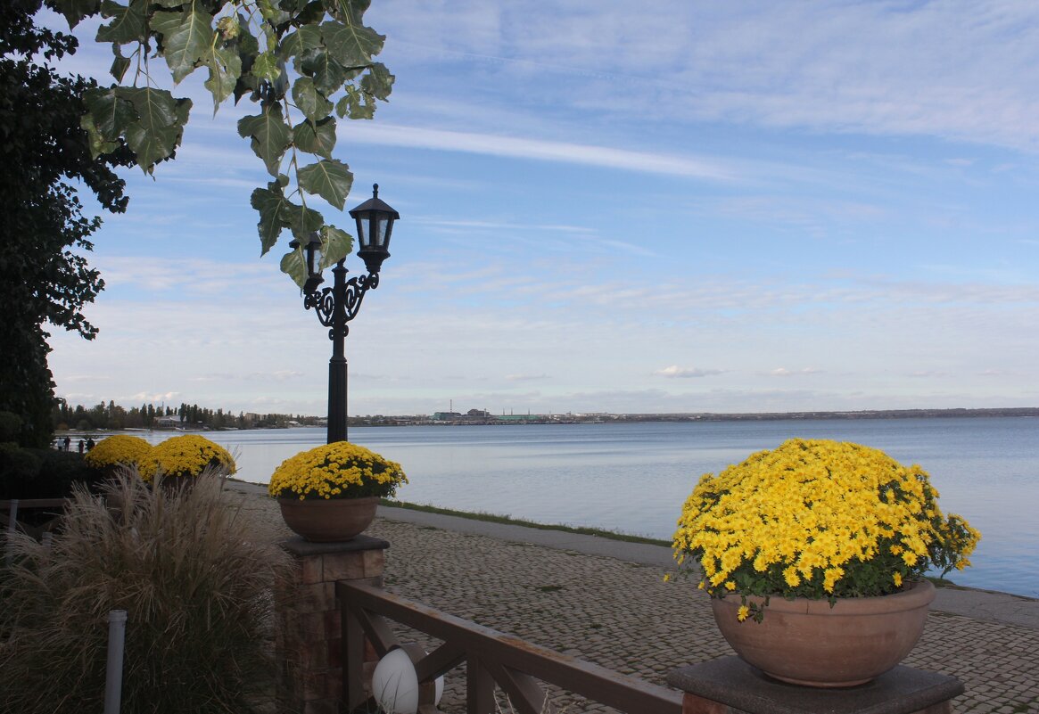 Набережная - Оксана Новик 