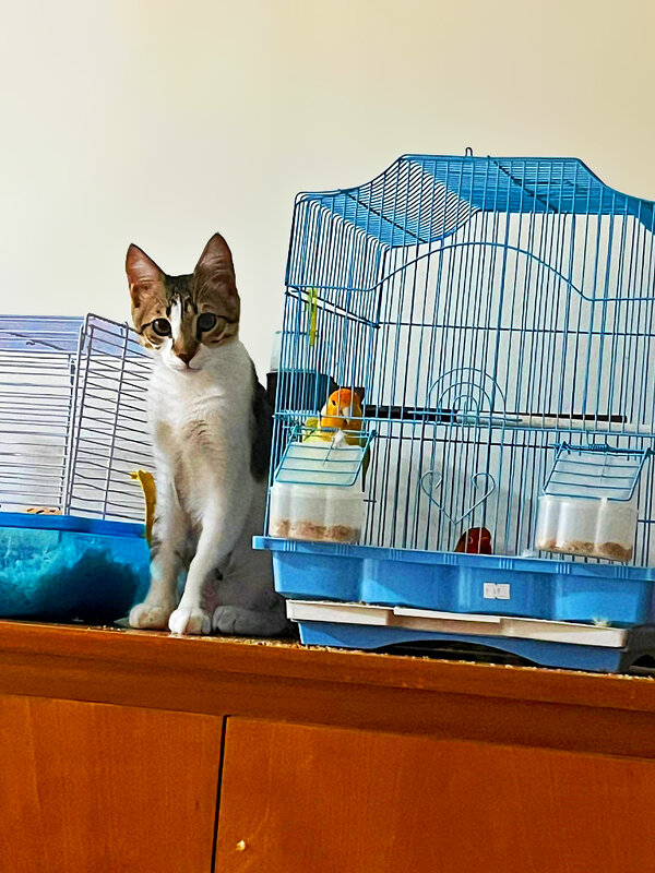 ОХРАНА   НА   ПОСТУ - Анатолий Малобродский