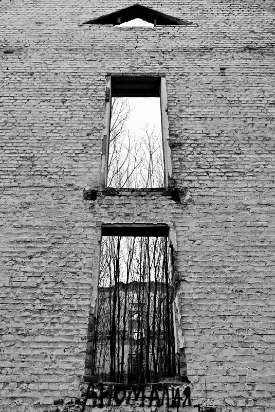 Аномалия - Олег Каразанов