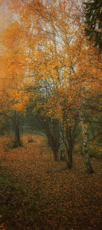 Последнее золото листвы... - Леонид Абросимов