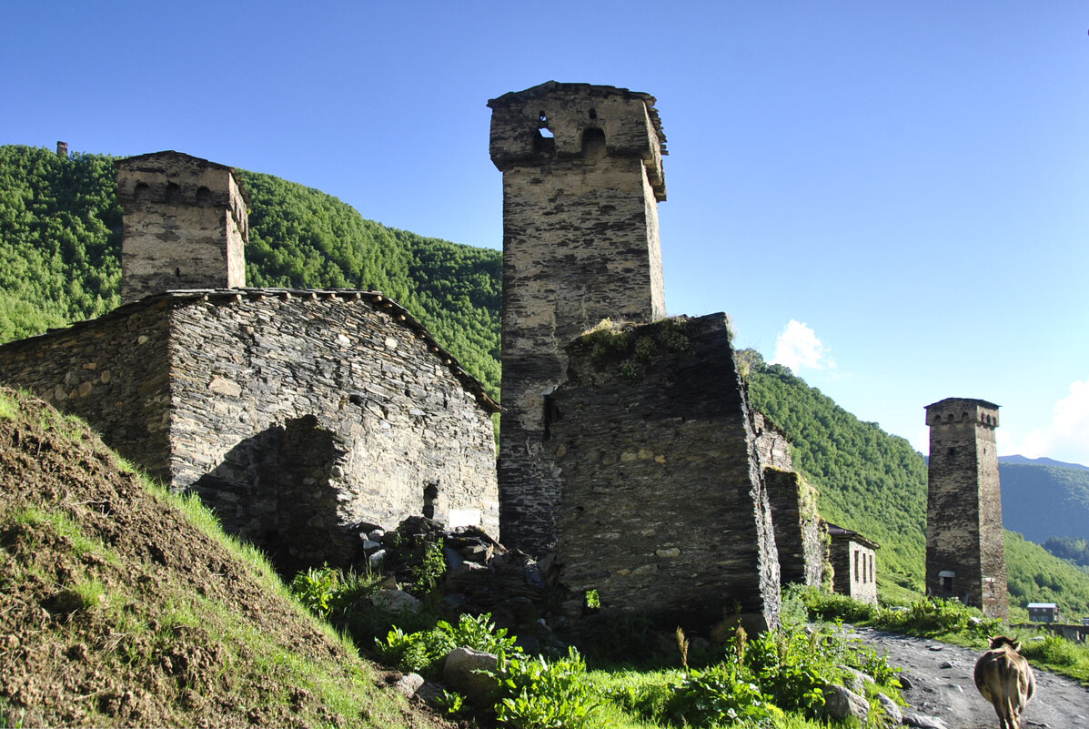 Ушгули - Марина Виноградова