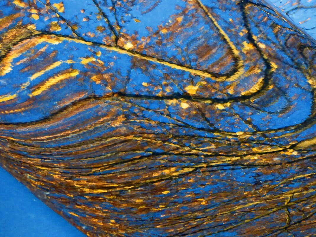 Осень 27 - Алексей Кузнецов