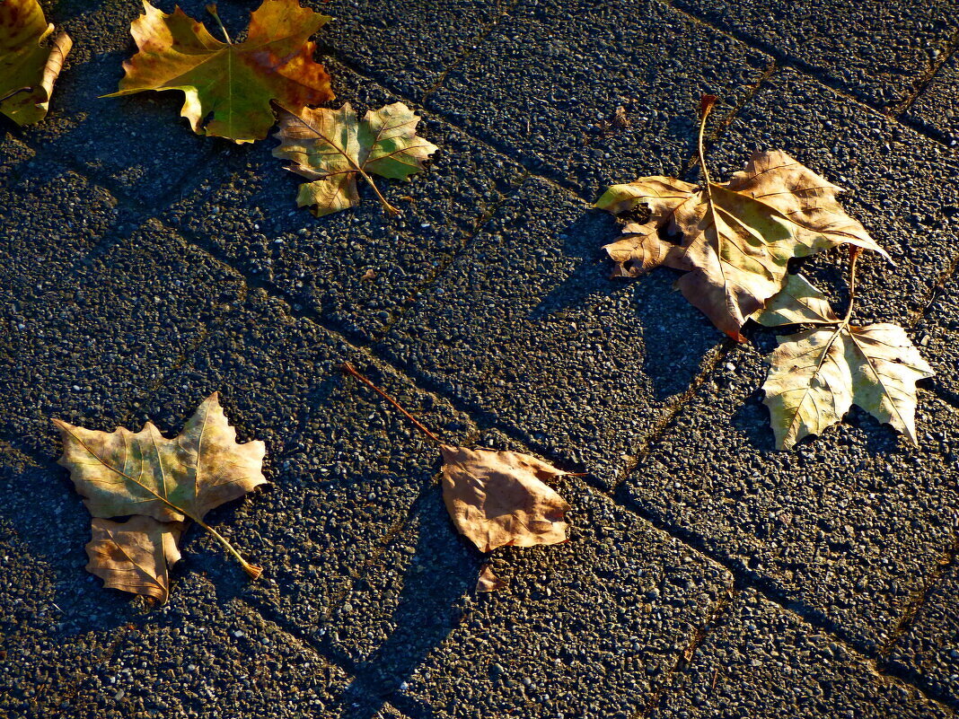 Осень 30 - Алексей Кузнецов