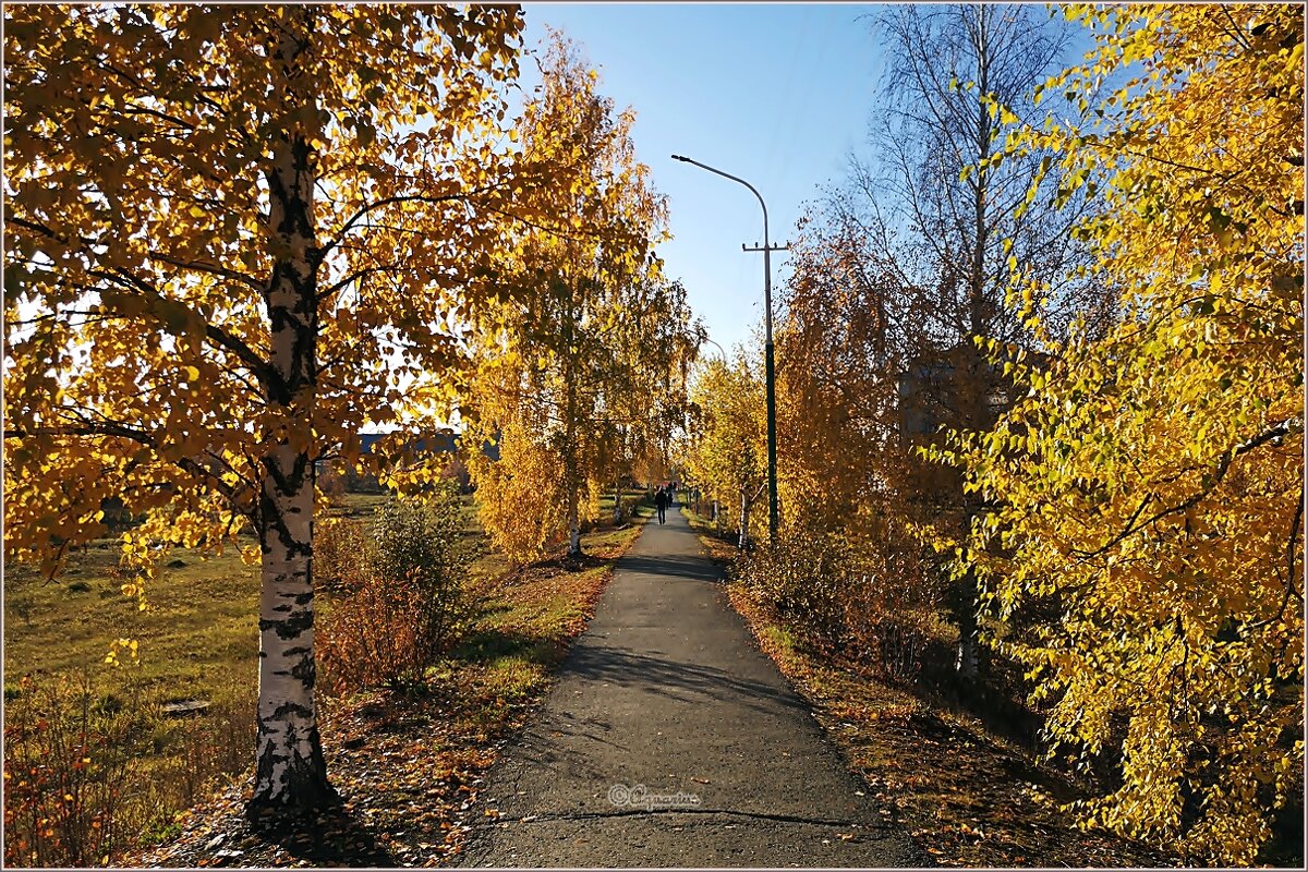 Начало октября... - Aquarius - Сергей Начало октября... - Aquarius - Сергей