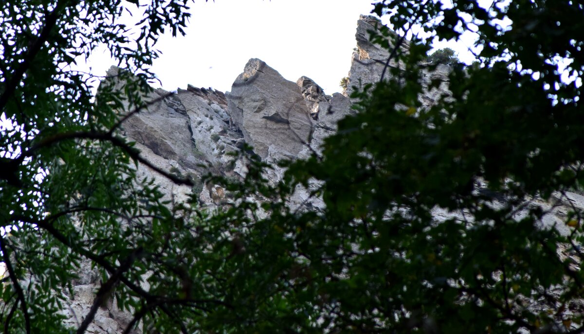 Железноводск. Скалы Развалки 2 - Павленко Михаил 