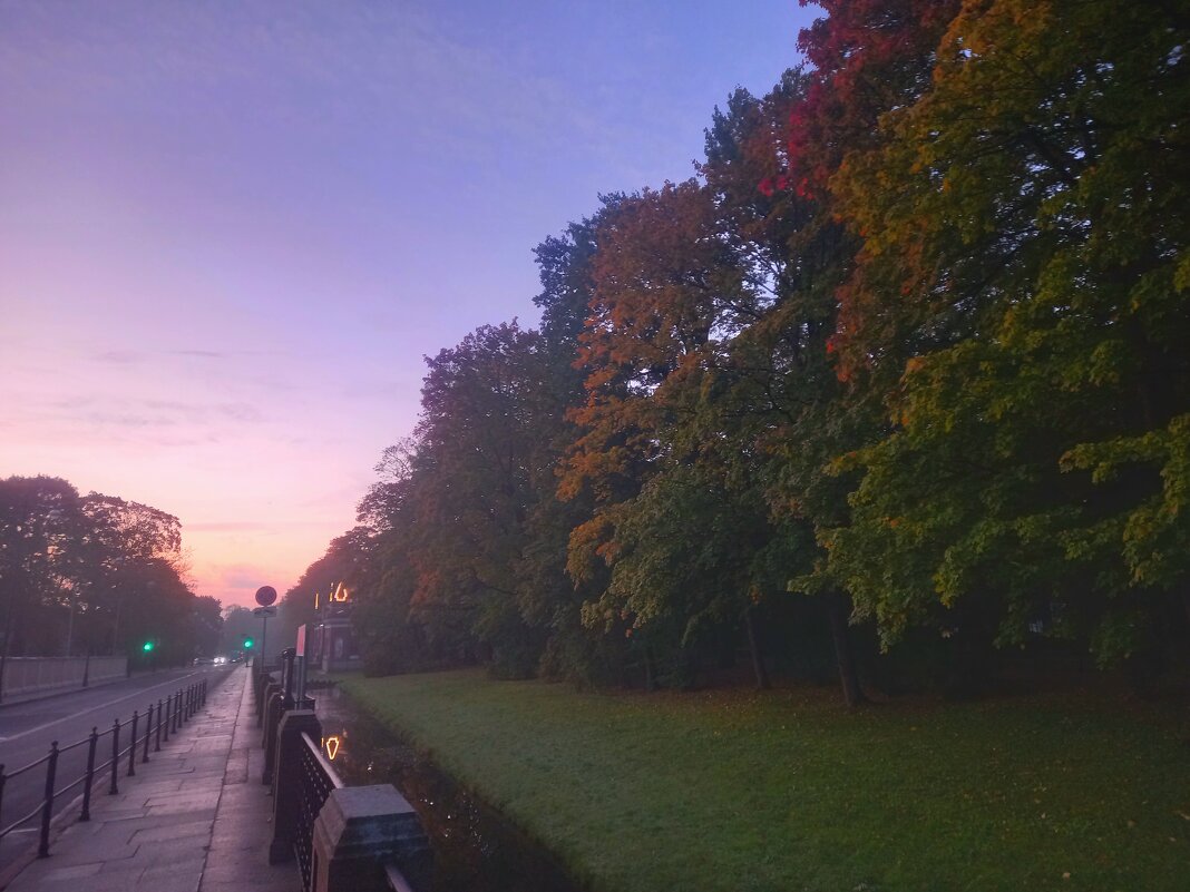 Рассвет - Сапсан 