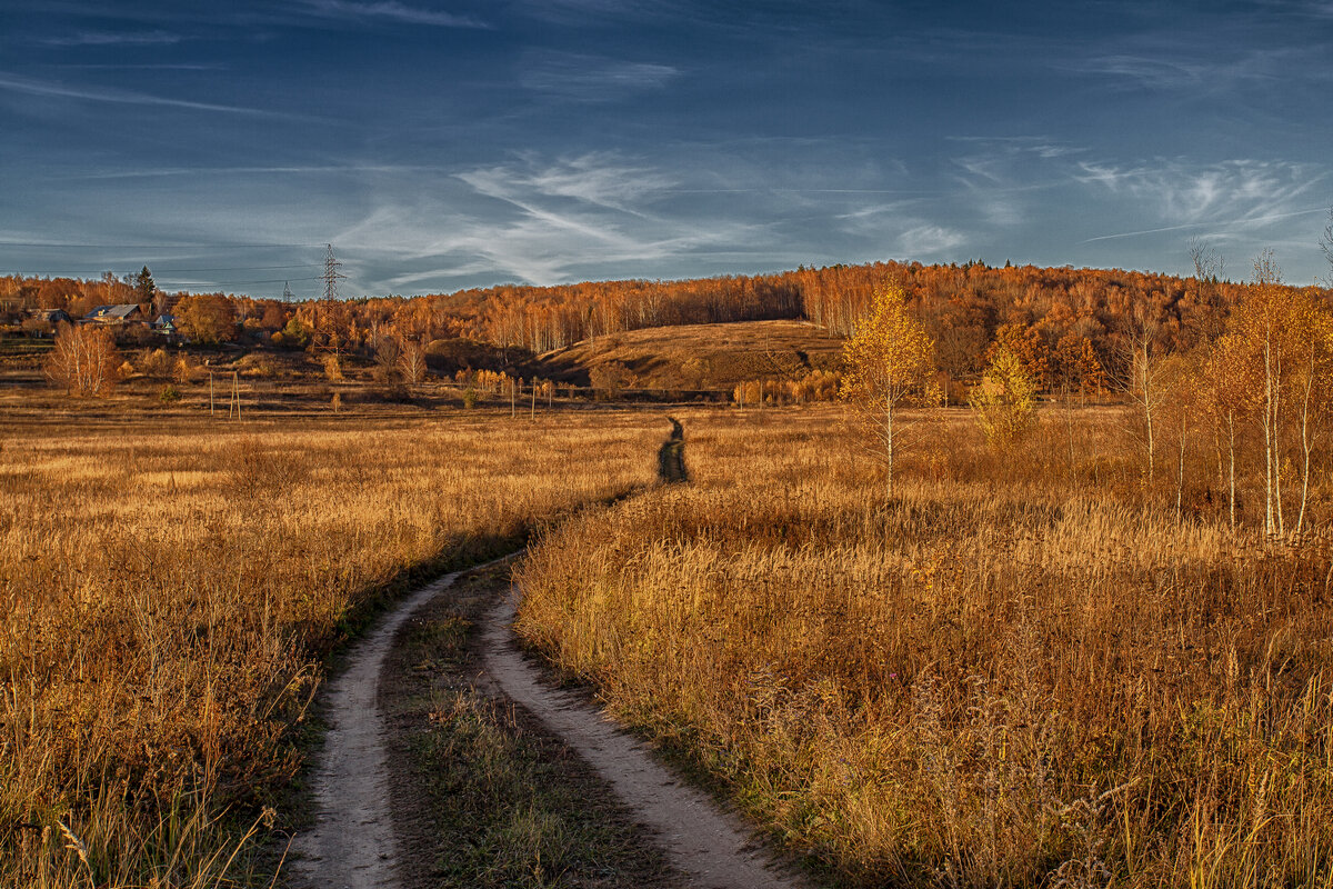 ... ни какая родина другая не вольет мне в грудь мою теплынь ... - Дмитрий Сундеев