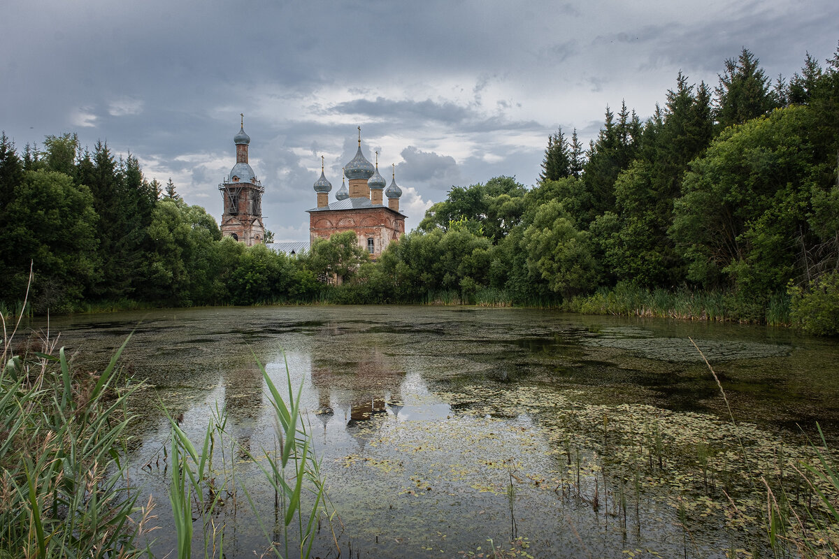 затянуло бурой тиной.... - Galina 