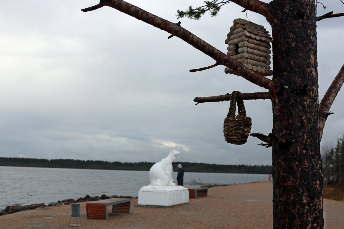 Кормушки на набережной - Ольга 