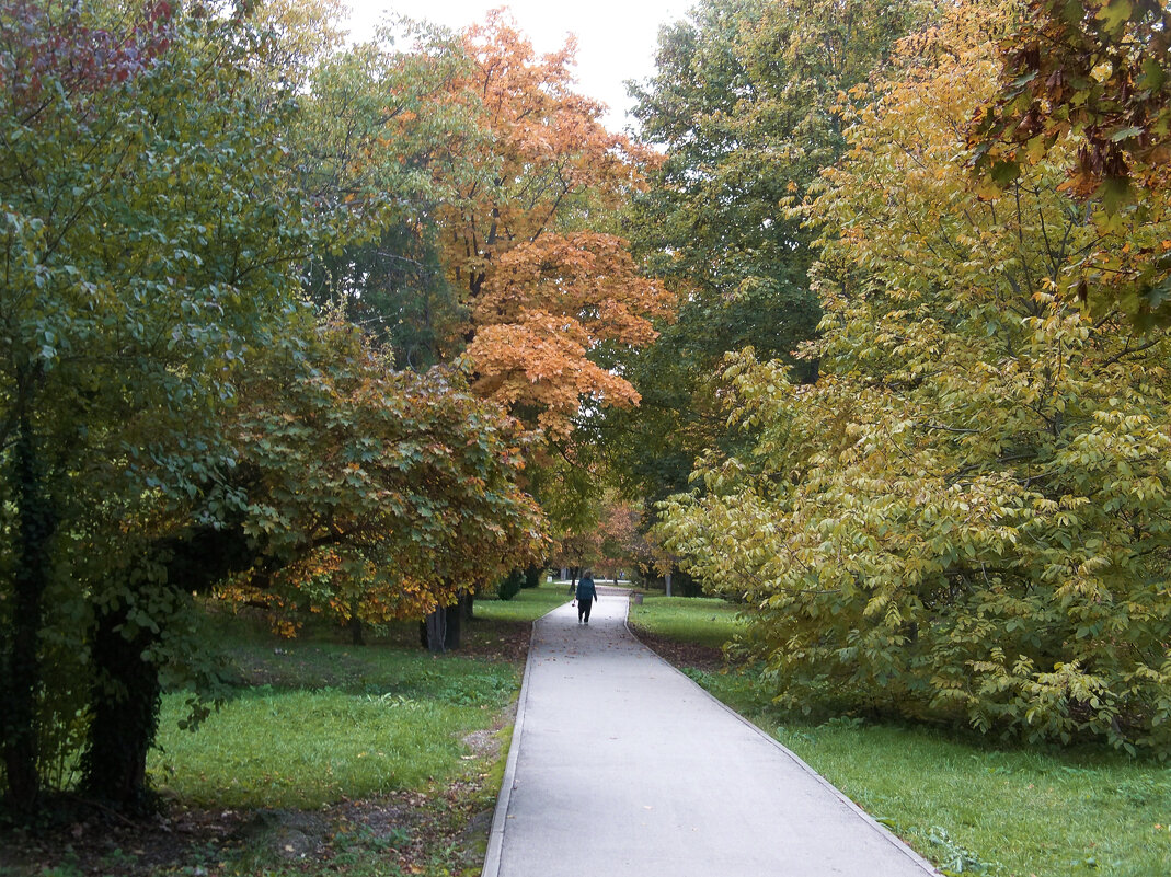 Природа  Крыма - Валентин Семчишин