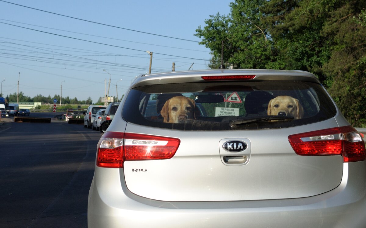 Видимо едут на дачу - Иван Генералов