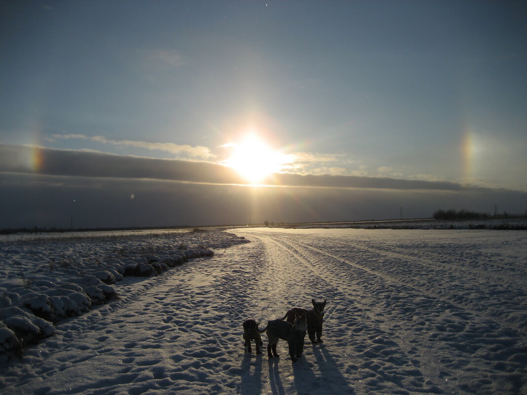 Зима - Anna Ivanova