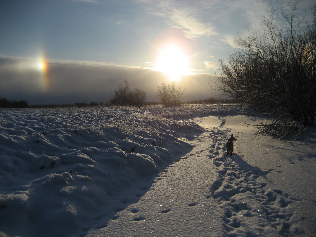 Зима - Anna Ivanova